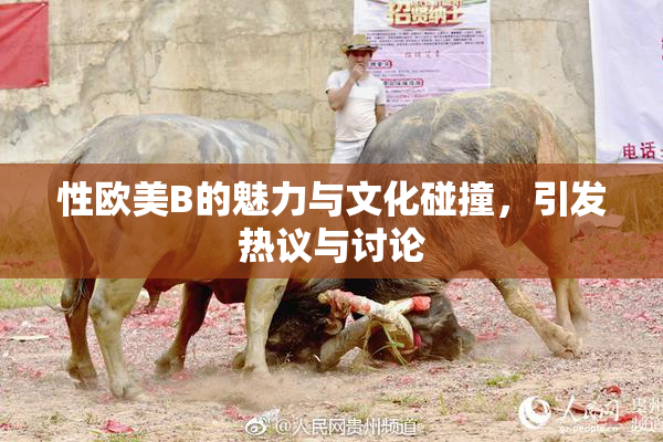 性欧美B的魅力与文化碰撞，引发热议与讨论