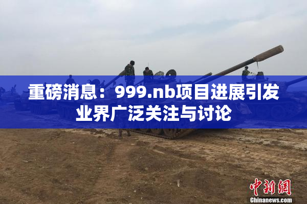 重磅消息：999.nb项目进展引发业界广泛关注与讨论