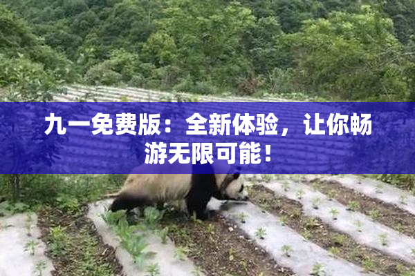 九一免费版：全新体验，让你畅游无限可能！