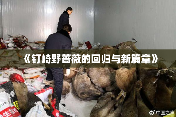 《钉崎野蔷薇的回归与新篇章》
