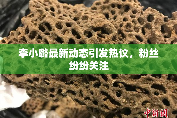 李小璐最新动态引发热议，粉丝纷纷关注
