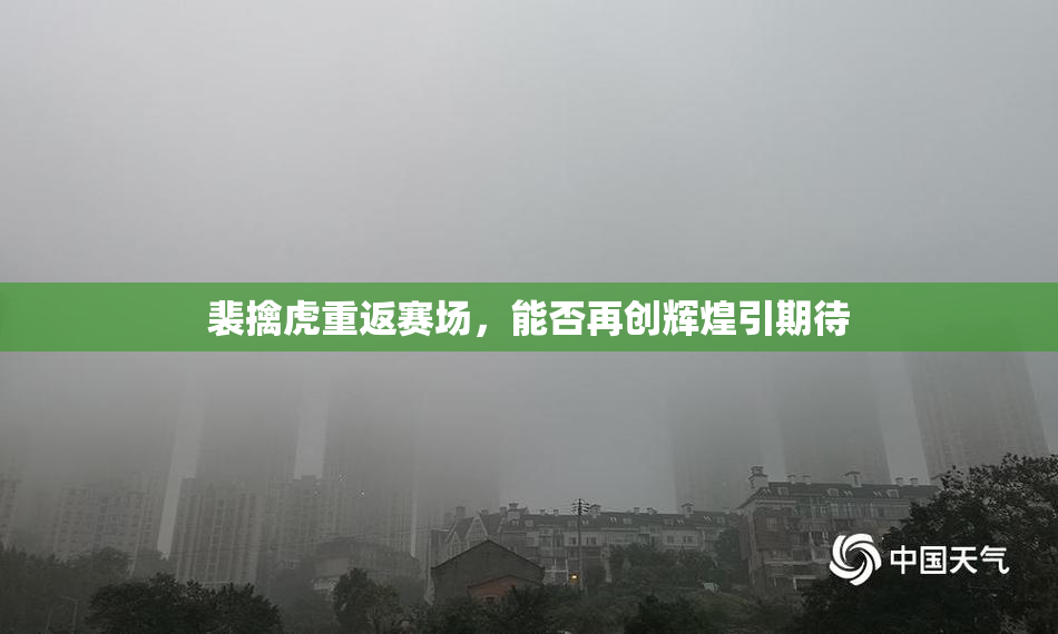 裴擒虎重返赛场，能否再创辉煌引期待