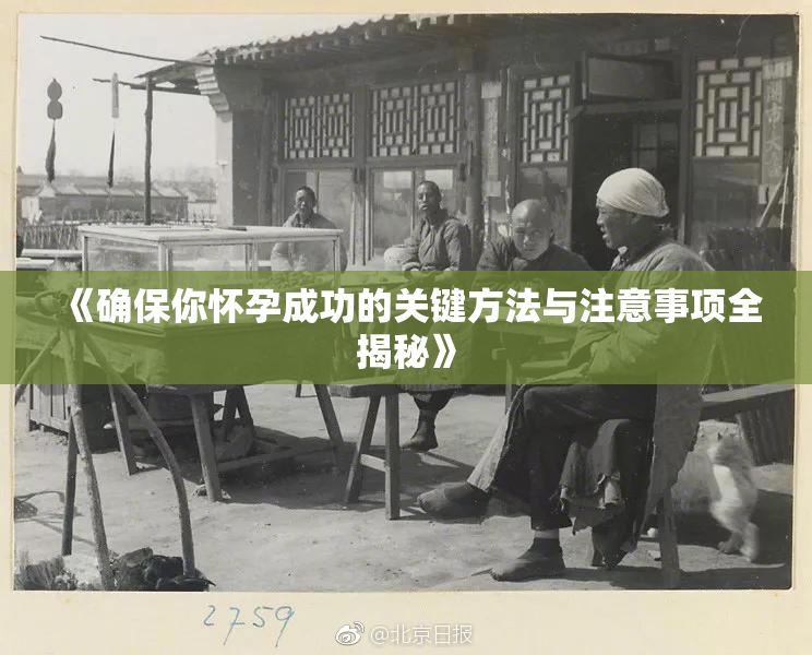 《确保你怀孕成功的关键方法与注意事项全揭秘》