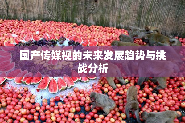 国产传媒视的未来发展趋势与挑战分析