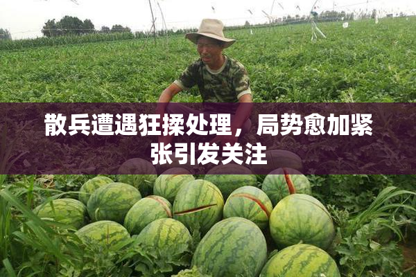 散兵遭遇狂揉处理，局势愈加紧张引发关注