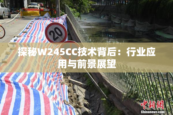 探秘W245CC技术背后：行业应用与前景展望