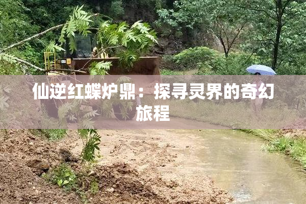 仙逆红蝶炉鼎：探寻灵界的奇幻旅程