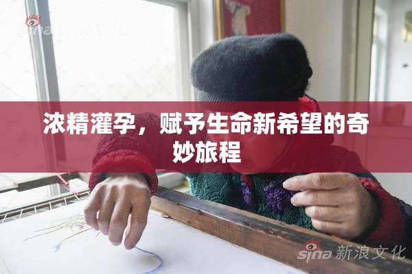 浓精灌孕，赋予生命新希望的奇妙旅程