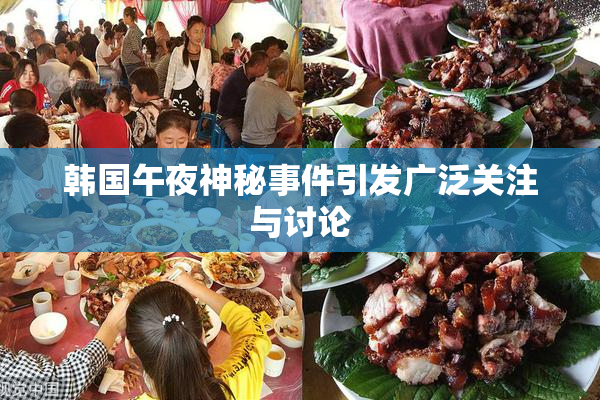 韩国午夜神秘事件引发广泛关注与讨论