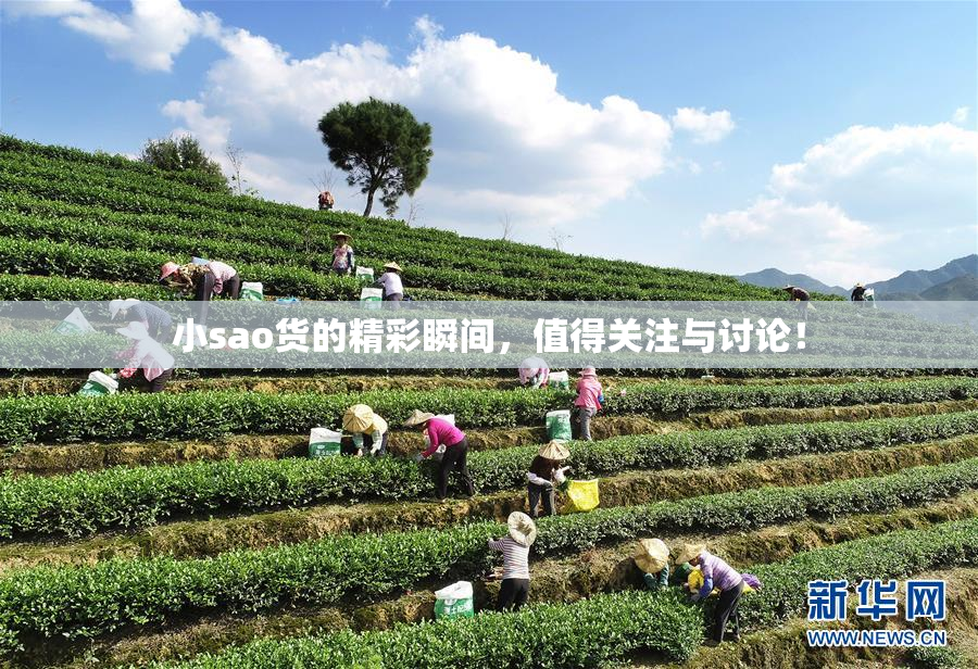 小sao货的精彩瞬间，值得关注与讨论！