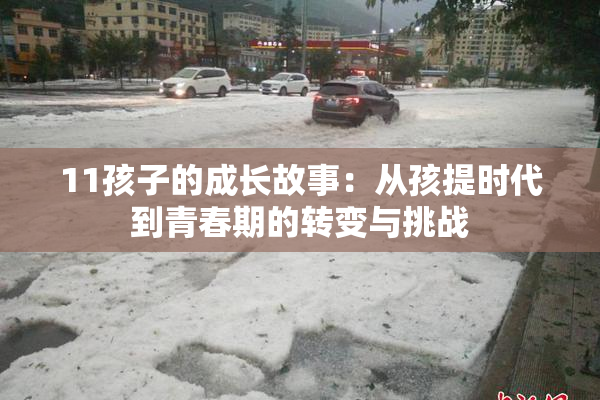 11孩子的成长故事：从孩提时代到青春期的转变与挑战