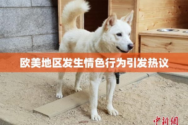欧美地区发生情色行为引发热议