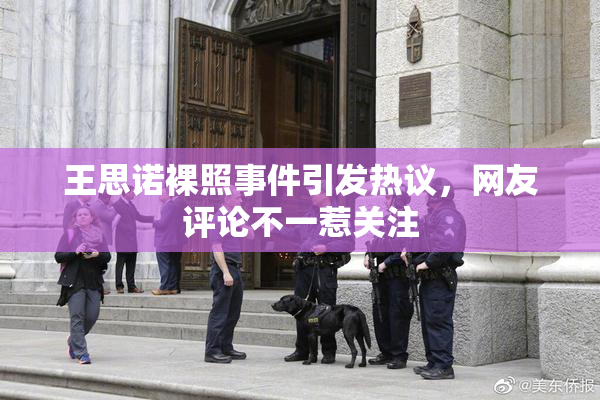 王思诺裸照事件引发热议，网友评论不一惹关注