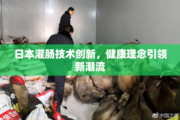 日本灌肠技术创新，健康理念引领新潮流