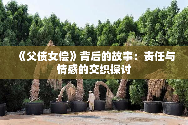 《父债女偿》背后的故事：责任与情感的交织探讨