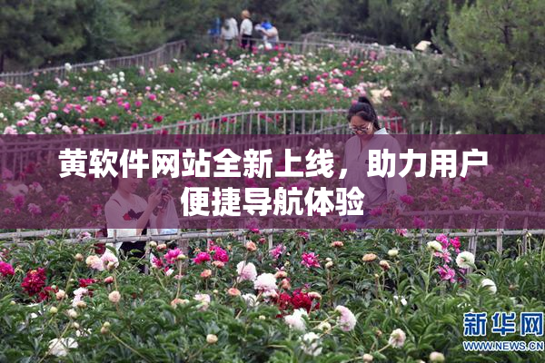 黄软件网站全新上线，助力用户便捷导航体验