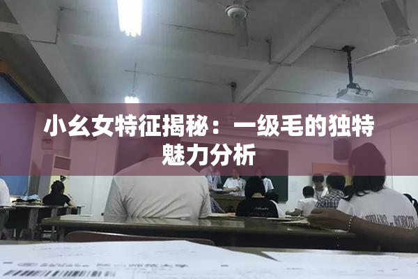 小幺女特征揭秘：一级毛的独特魅力分析