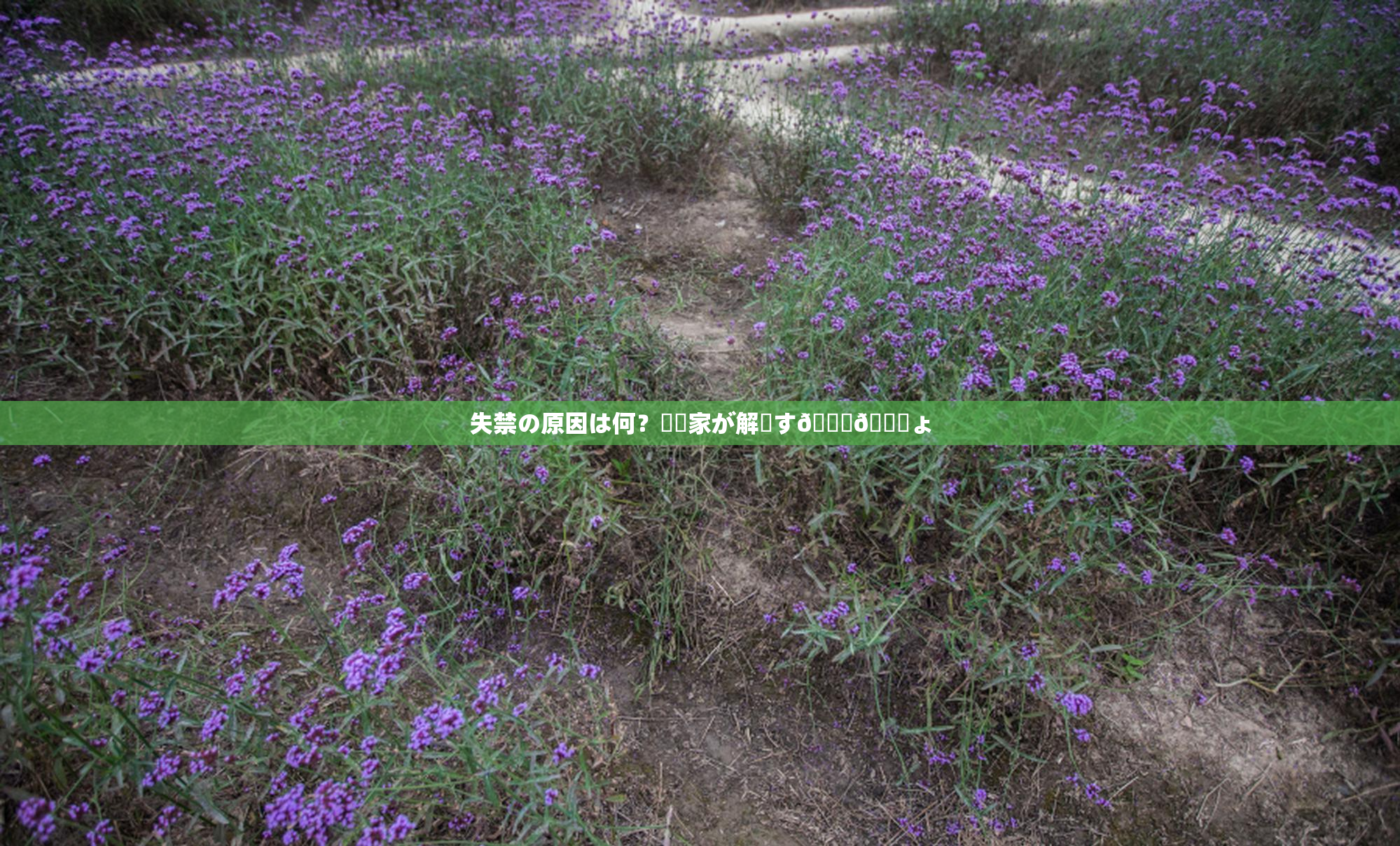 失禁の原因は何？専門家が解説す🌃🎆ょ