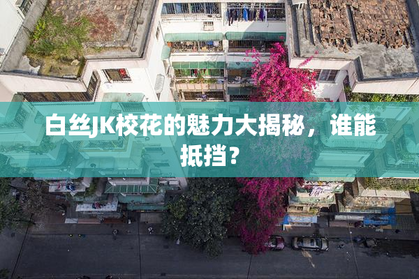 白丝JK校花的魅力大揭秘，谁能抵挡？