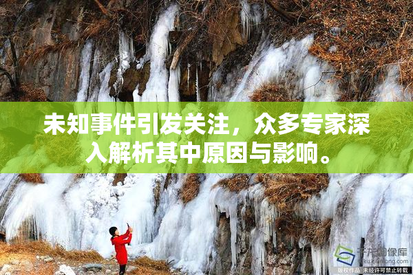 未知事件引发关注，众多专家深入解析其中原因与影响。