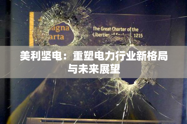 美利坚电：重塑电力行业新格局与未来展望
