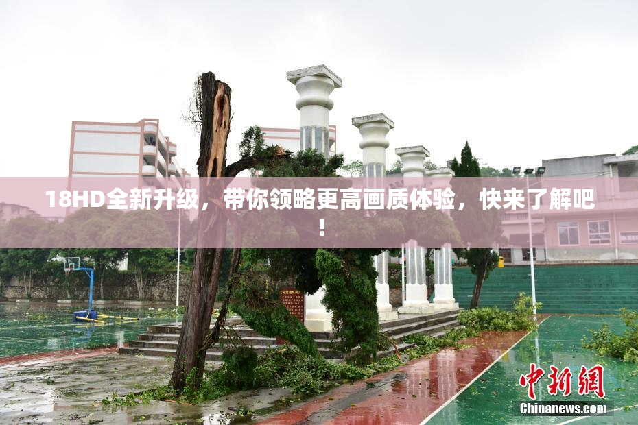 18HD全新升级，带你领略更高画质体验，快来了解吧！