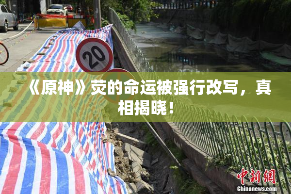《原神》荧的命运被强行改写，真相揭晓！