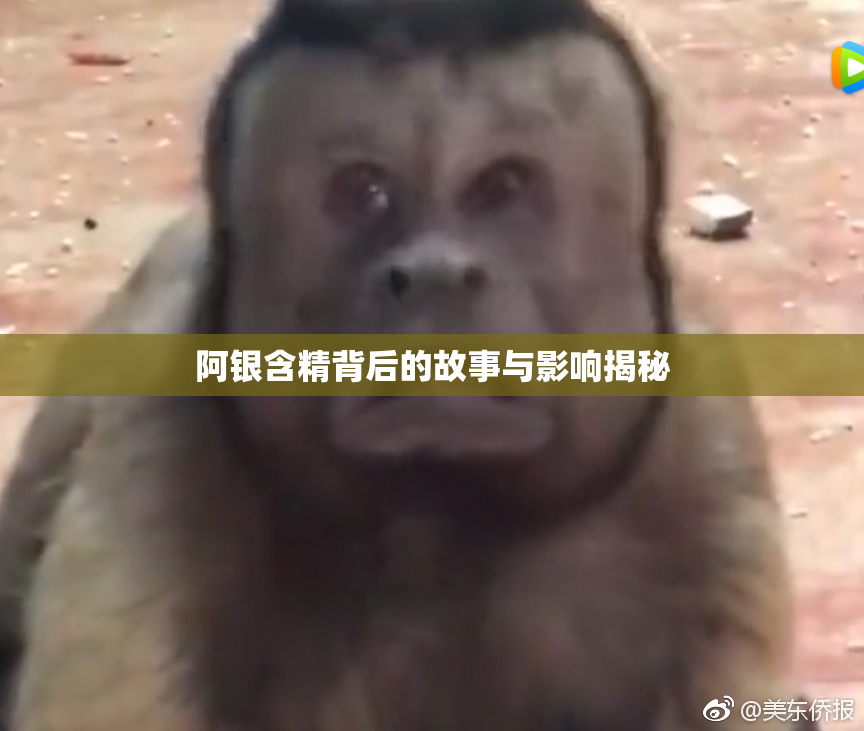 阿银含精背后的故事与影响揭秘