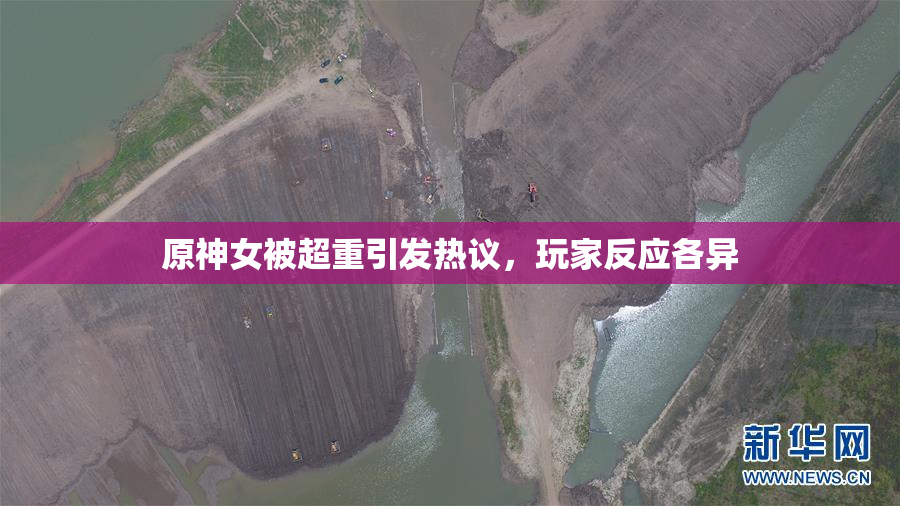 原神女被超重引发热议，玩家反应各异