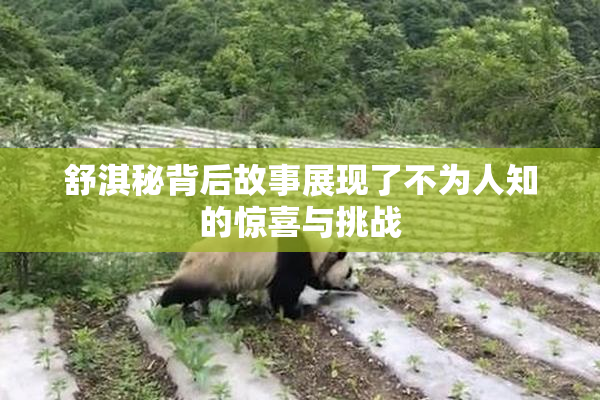舒淇秘背后故事展现了不为人知的惊喜与挑战