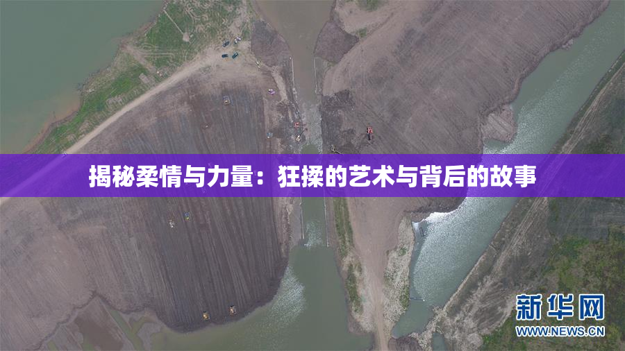 揭秘柔情与力量：狂揉的艺术与背后的故事