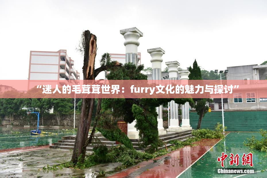 “迷人的毛茸茸世界：furry文化的魅力与探讨”