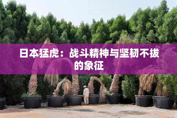 日本猛虎：战斗精神与坚韧不拔的象征