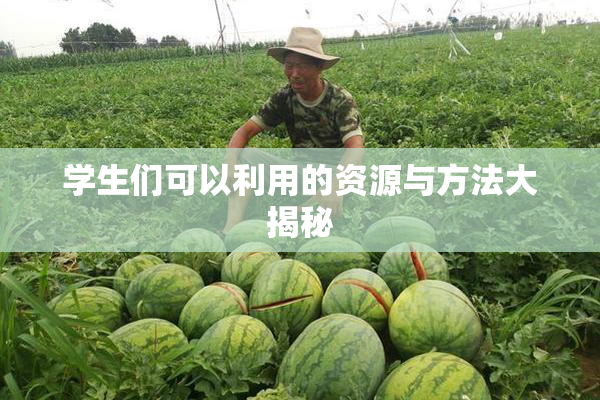 学生们可以利用的资源与方法大揭秘