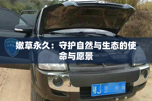 嫩草永久：守护自然与生态的使命与愿景