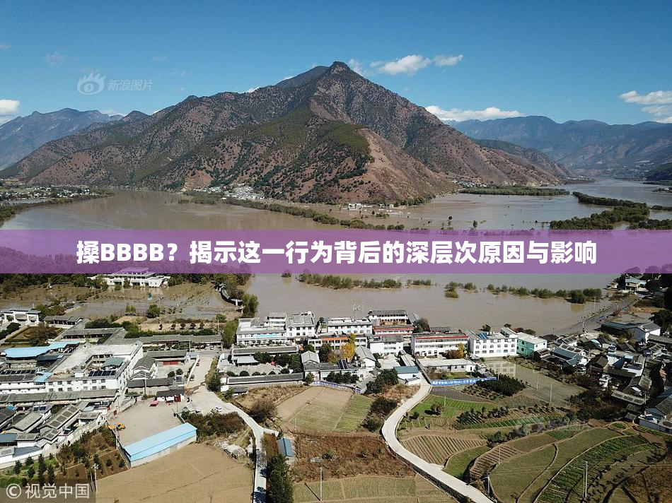 搡BBBB？揭示这一行为背后的深层次原因与影响