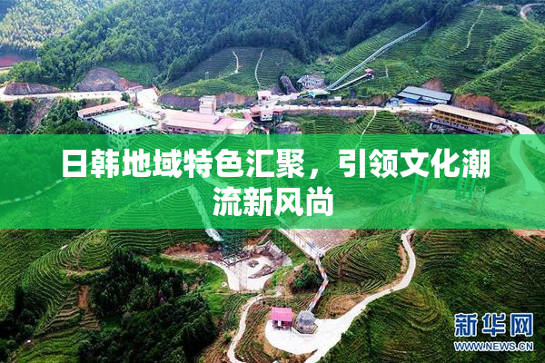 日韩地域特色汇聚，引领文化潮流新风尚
