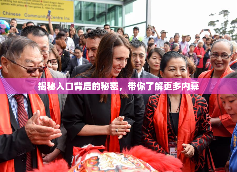 揭秘入口背后的秘密，带你了解更多内幕