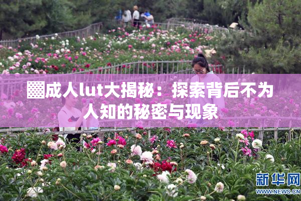 ▓成人lut大揭秘：探索背后不为人知的秘密与现象