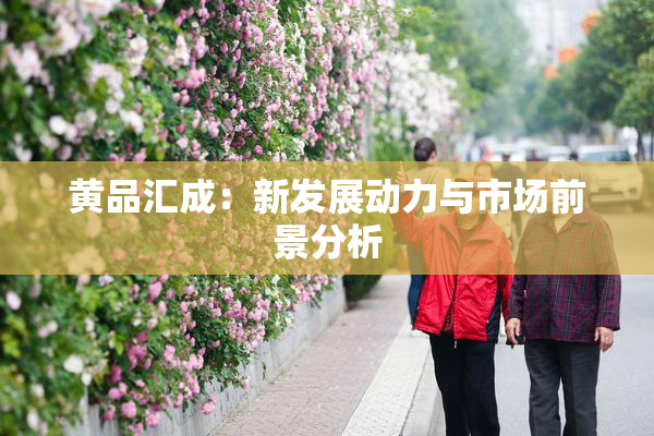 黄品汇成：新发展动力与市场前景分析