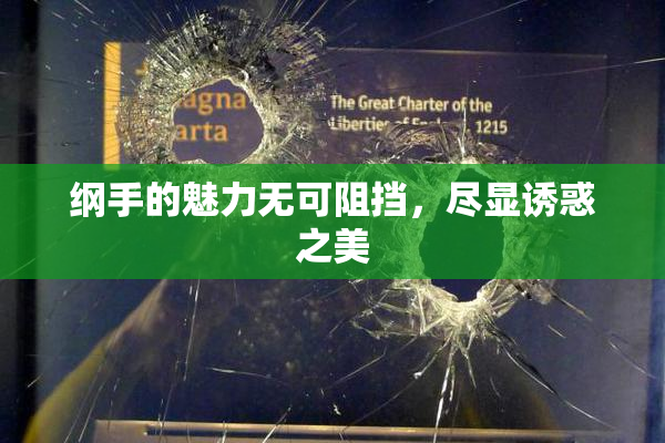 纲手的魅力无可阻挡，尽显诱惑之美