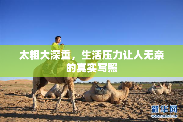 太粗大深重，生活压力让人无奈的真实写照