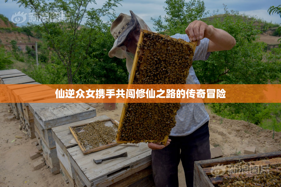 仙逆众女携手共闯修仙之路的传奇冒险