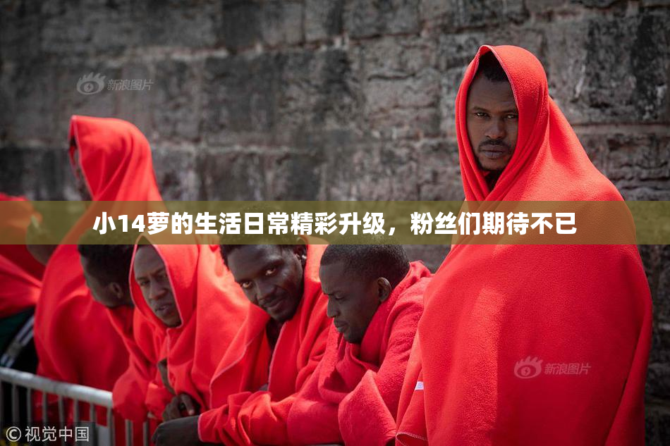 小14萝的生活日常精彩升级，粉丝们期待不已