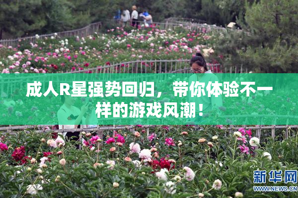 成人R星强势回归，带你体验不一样的游戏风潮！
