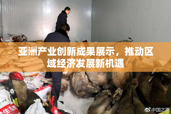 亚洲产业创新成果展示，推动区域经济发展新机遇