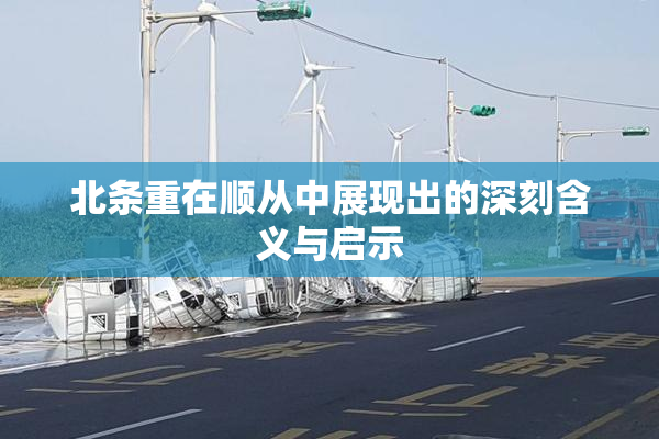 北条重在顺从中展现出的深刻含义与启示