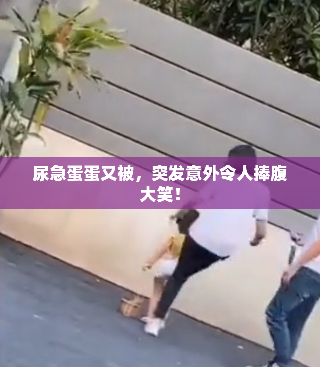 尿急蛋蛋又被，突发意外令人捧腹大笑！