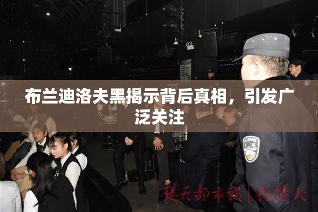 布兰迪洛夫黑揭示背后真相，引发广泛关注