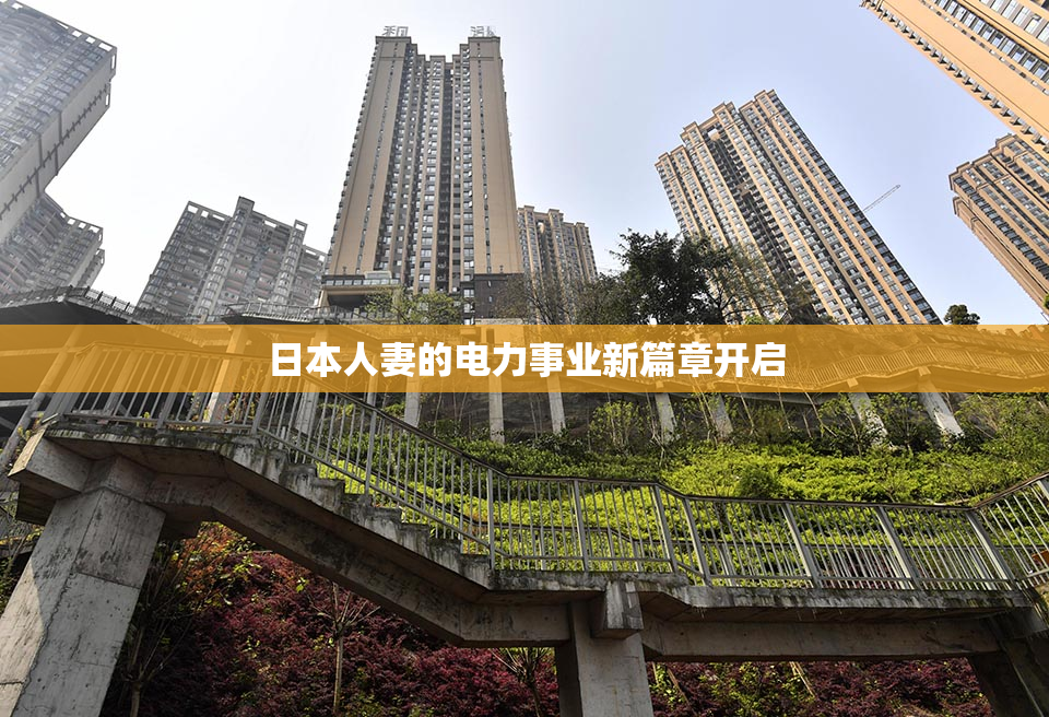 日本人妻的电力事业新篇章开启
